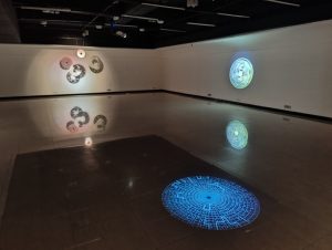 Irene Dubrovsky exhibition